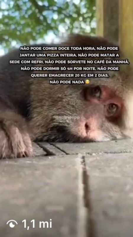 Emagrecimento 3