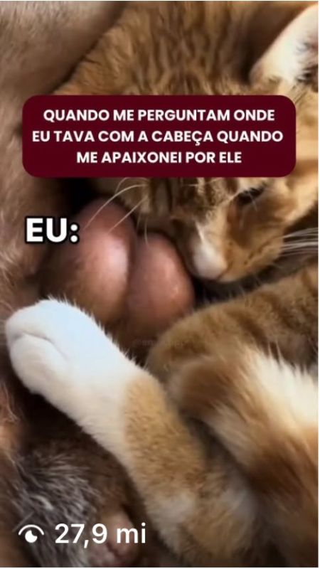 Meme 4