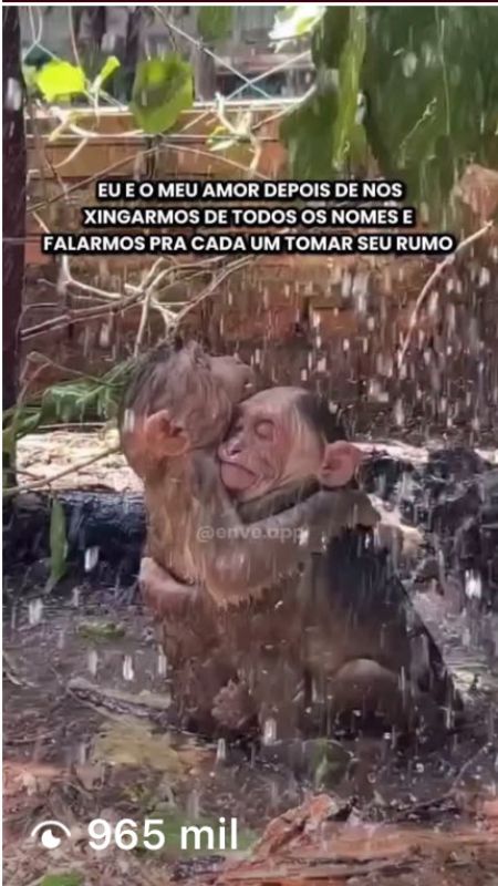Relacionamento 1