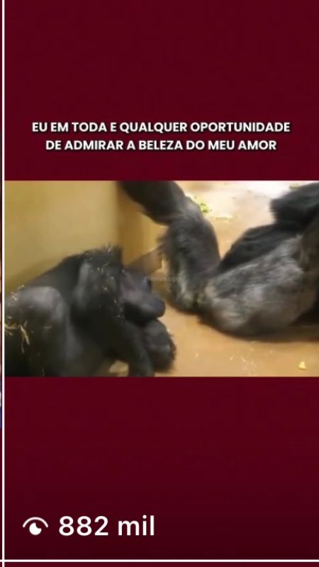 Relacionamento 3