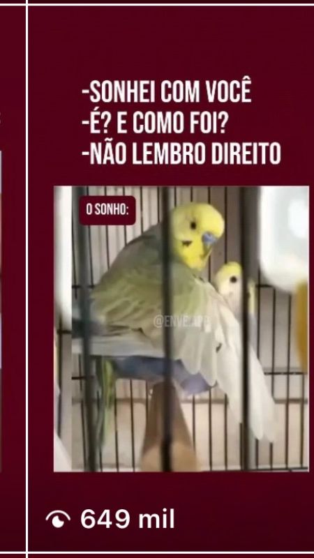 Relacionamento 4